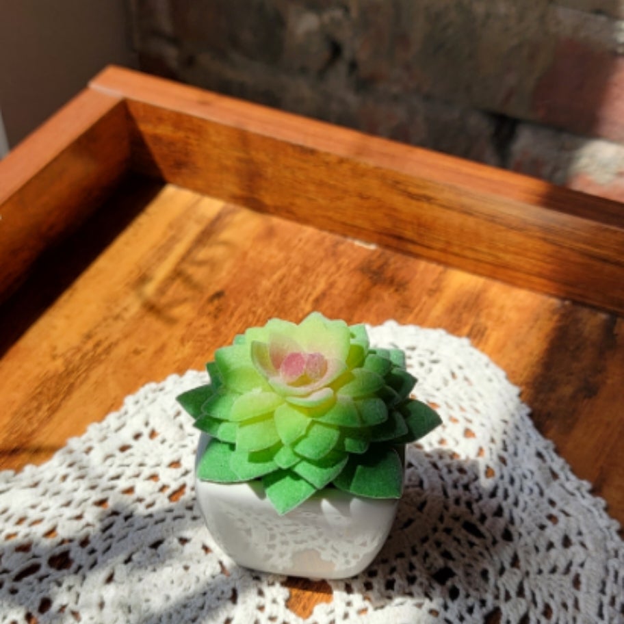 Artifical Succulant Kim s Kozy Crochet LLC artifical-succulant-kim-s-kozy-crochet-llc